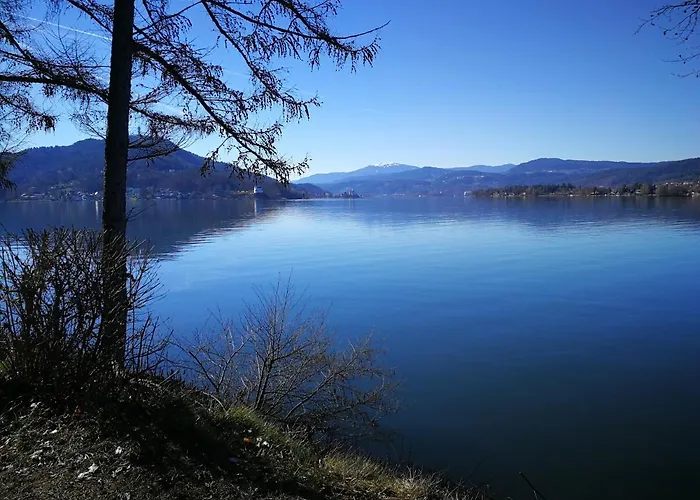 宾馆 Zentral Feistritz an der Drau